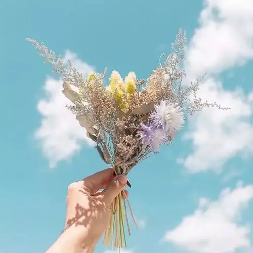 抖音精选小清新朋友圈背景图