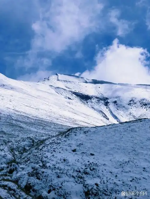 这个冬天最想做的事——长白山赏雪,一片银装素裹,仿佛置身于童话世界