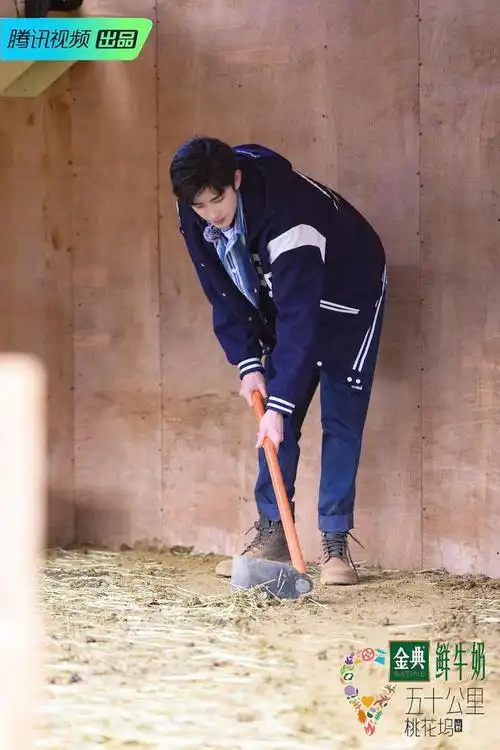 五十公里桃花坞3业态繁忙王鹤棣汪苏泷互换家庭引落泪