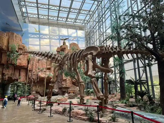 亲子|南京地质博物馆