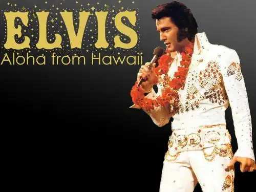 elvis猫王手机铃声照片
