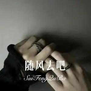 随风去吧remix