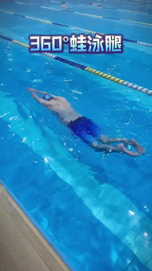 流线型蛙泳腿,控制核心,窄蹬,滑行