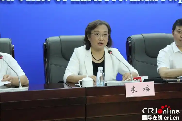 民盟湖北省委专职副主委兼秘书长朱梅在新闻发布会上发言(摄影 张永良