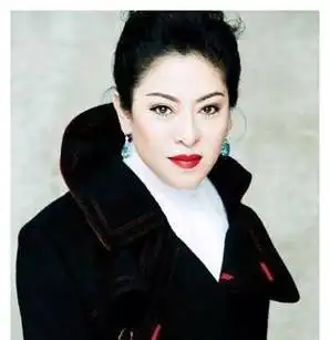 "向太"陈岚:掏8000多万买钻石项链嫌便宜,儿媳生娃奖上亿别墅_美女