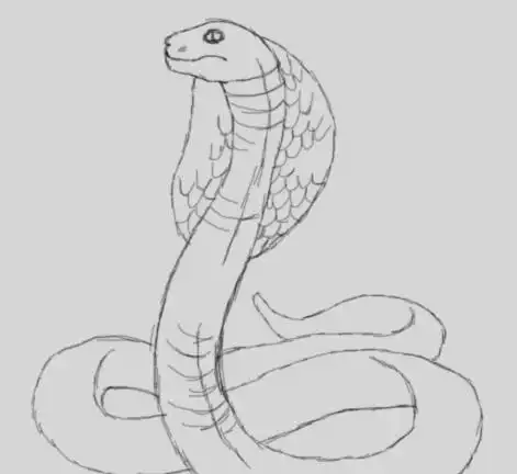 用素描画眼镜蛇的所有教程