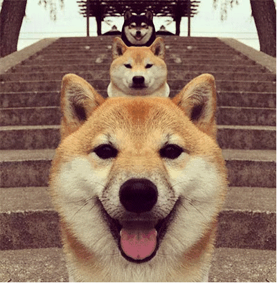 399_408gif 动态图 动图