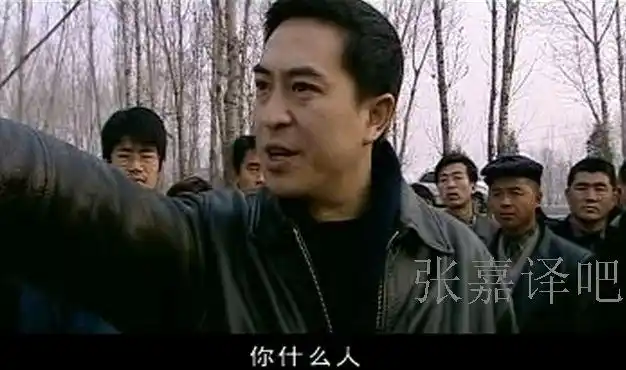 电视剧《使命》之张嘉译