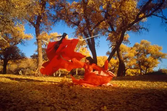 资料图片:《英雄》剧照(31)