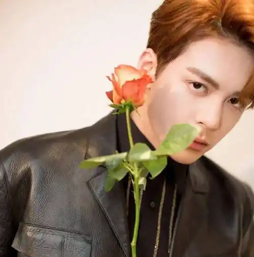 【微信头像】曾舜晞_故事