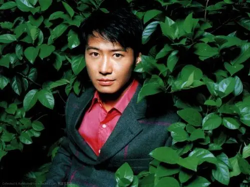 黎明壁纸1024x768桌面图片-1024x768.144k.高清大图-明星写真馆n63.