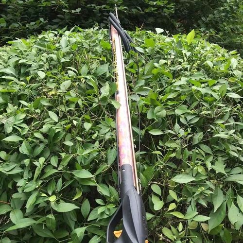 潜水射鱼箭 潜水射鱼枪