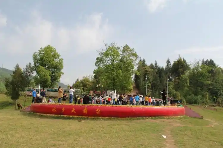 小蜜蜂们闻着花草的香味整齐的来到了草坪里的大舞台上.