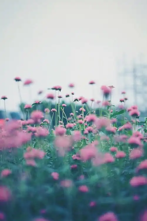 小清新 温暖 干净 安静 唯美 静物 物语 时…-堆糖,美好生活研究所