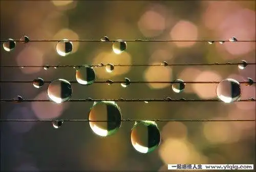 拨动心弦的情感微语录