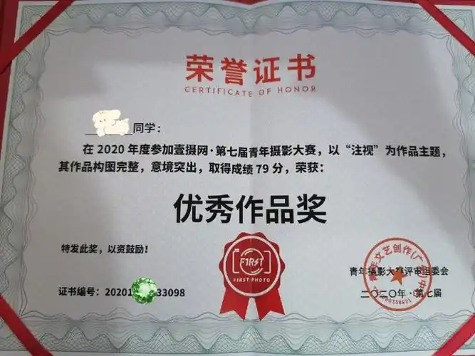 摄影类优秀作品获奖证书
