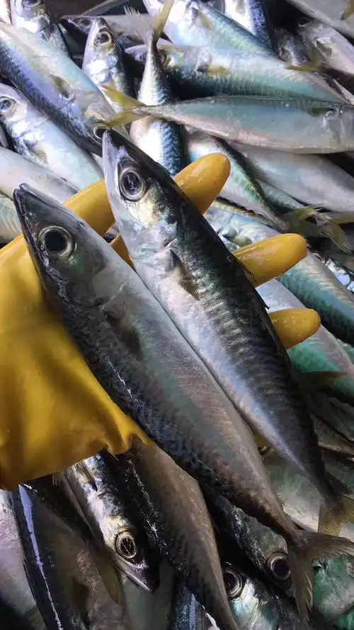 本港生鲜 生猛海鲜