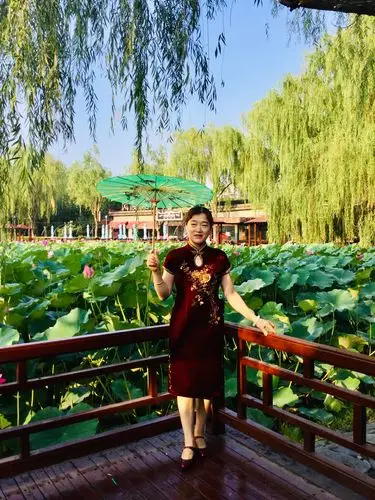 荷花仙子与旗袍美女