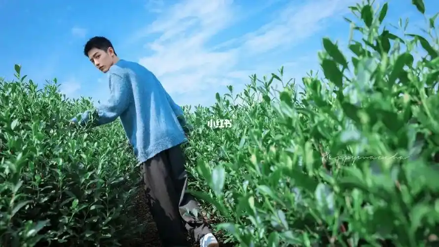 为什么这里会刷成肖战专场