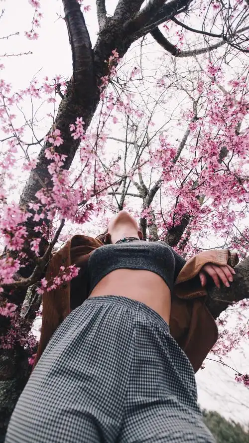 禁欲系壁纸,性感的,或者带点骚骚的壁纸有吗? - 知乎