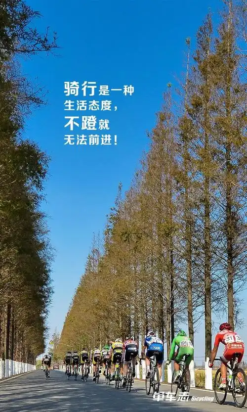 2019骑行励志壁纸来袭换起来