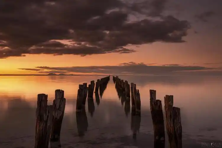 棕色木树干上水的身体高清壁纸