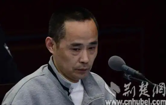 四川涉黑富豪刘汉与其弟刘维一审被判死刑