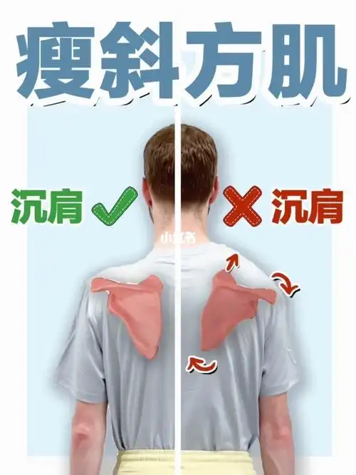 有任何问题欢迎评论区留言给我#斜方肌   #消除斜方肌