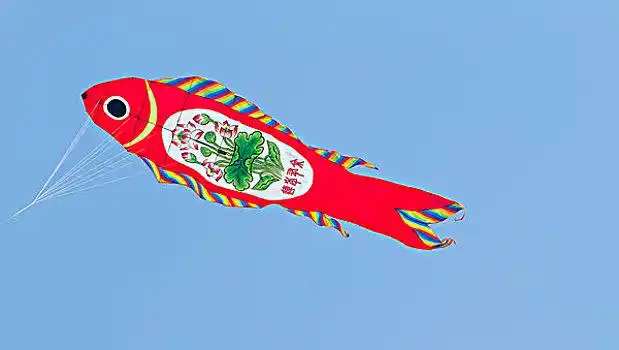 鱼风筝
