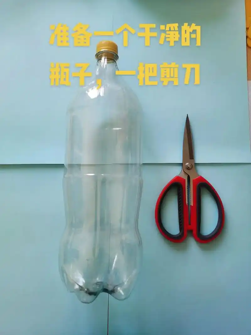 自制不用钱的透气蝴蝶兰花盆#蝴蝶兰#滑走你就草率了 #句句大 - 抖音