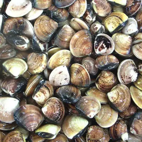 名称青蛾所属分类水产品单价9.