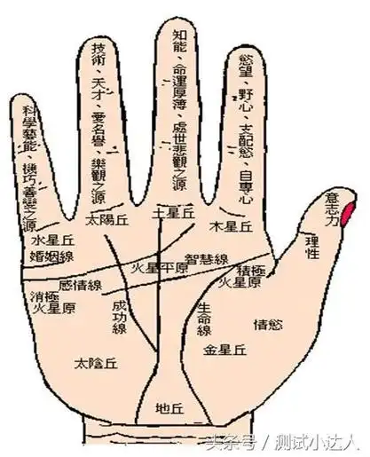 言归正传,先来看一张手相图解面相知天命看手相断掌存多少人,据面相学
