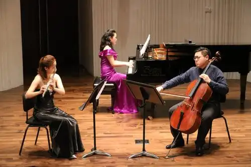 长沙交响乐团"对影"三重奏在演奏.