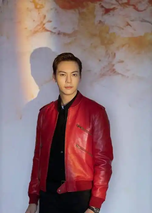 组图:陈伟霆红色皮衣夹克干练帅气背头大展利落率性魅力_娱乐_春晚