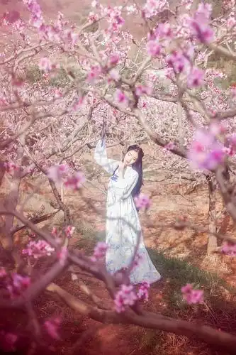 摄影日记237:桃之夭夭(古风人像)