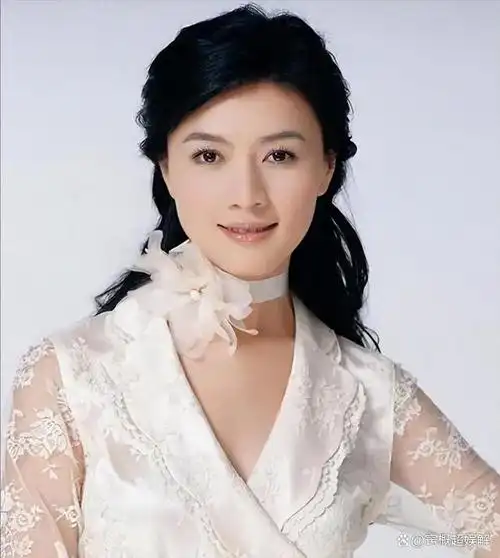 鲍蕾曾公然怒批田海蓉:"她倒追我老公四年,即便是撞墙装晕的苦戏码