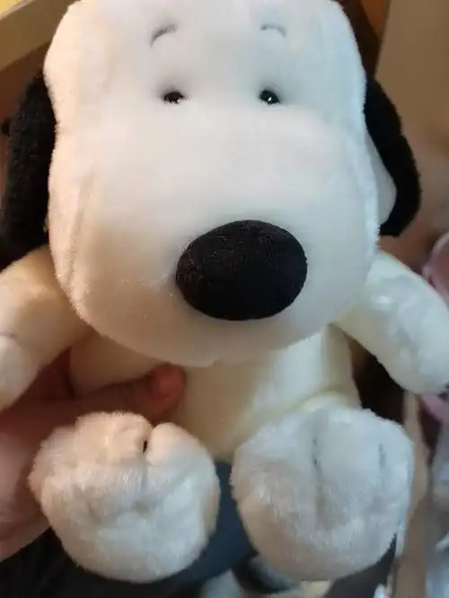 一只少见的史努比#snoopy史努比  #豆豆眼  #老料公仔  #我的玩具分享