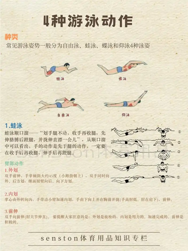 涨知识|4种泳姿图解教程(收藏).最近天气逐渐变热,想要去学 - 抖音