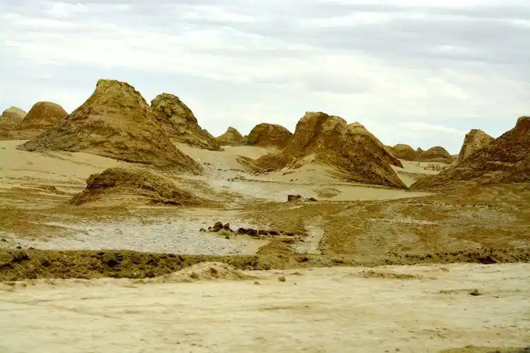 行走大西北之五.(塔尔寺,拉卜楞寺,无人区,金子海).