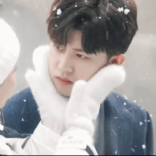 墨宝非宝小说改编,任嘉伦搭档白鹿,演绎不一样的爱情故事