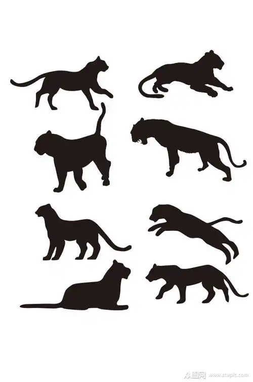 老虎动物剪影素材