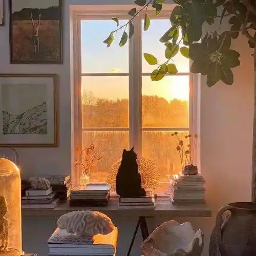 背景图 | 背景图ins高级质感