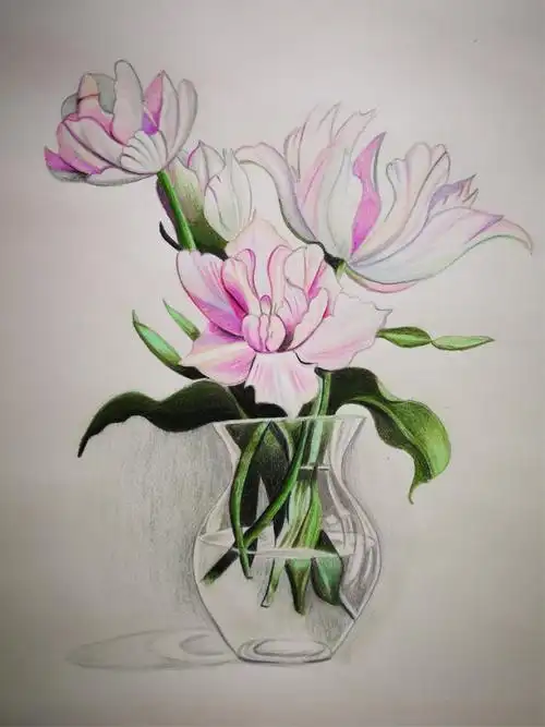 张静扬素描 彩色铅笔画作品集