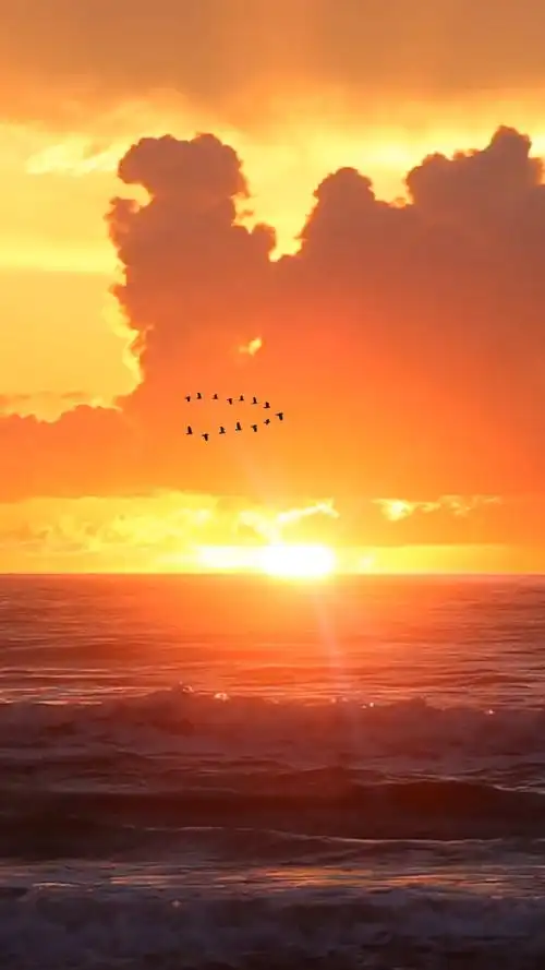 山河远阔人间烟火都不及这一刻唯美的落日黄昏和恰好的微风风景落日