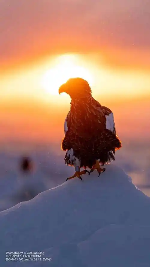 1080_1920竖版 竖屏