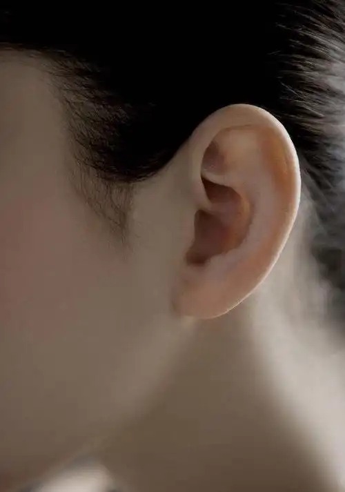 心理学这八种耳朵形状彻底暴露了一个人的性格和本性