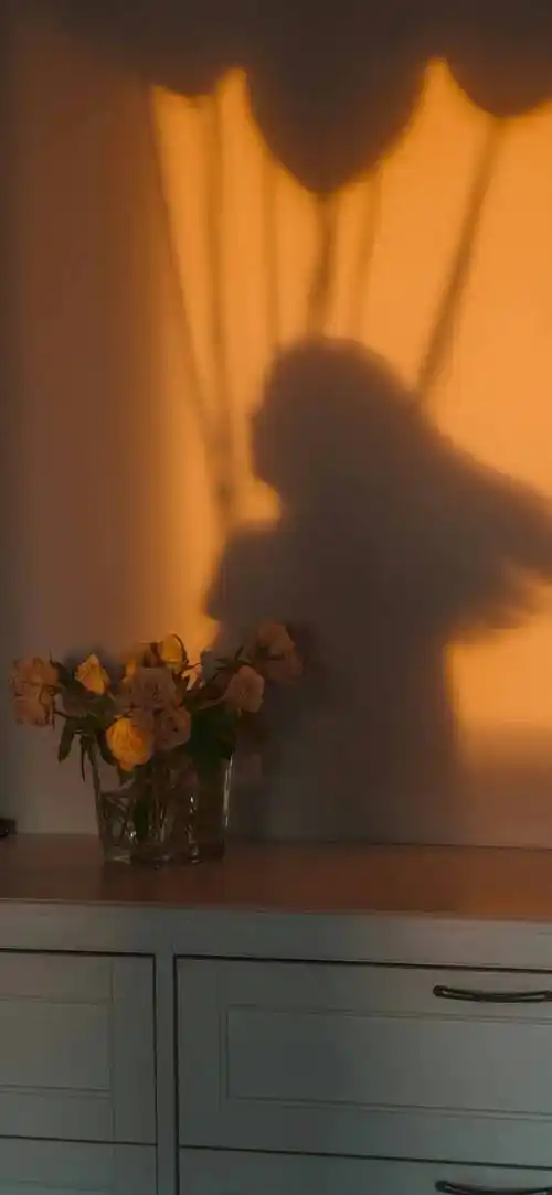 手机壁纸·4k景深全面屏