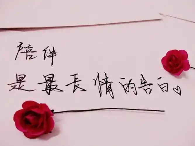 陪伴是最长情的告白图片(5)_唯美图片