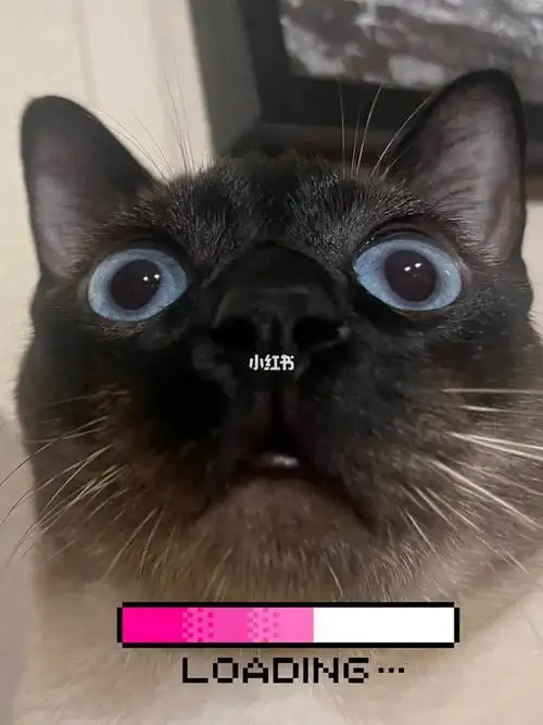 好奇怪脑子08空空的