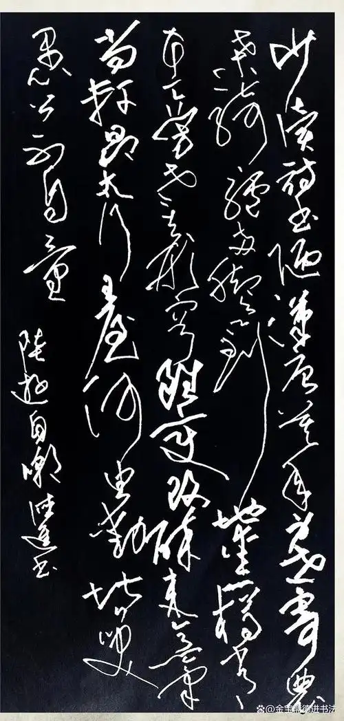 张德进硬笔书法——草书